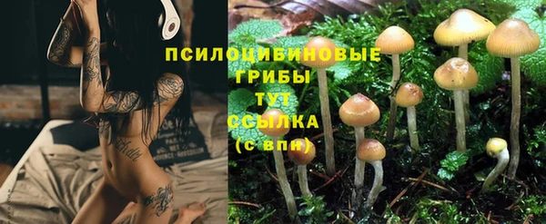 MESCALINE Арсеньев