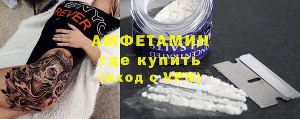 гидра Аркадак