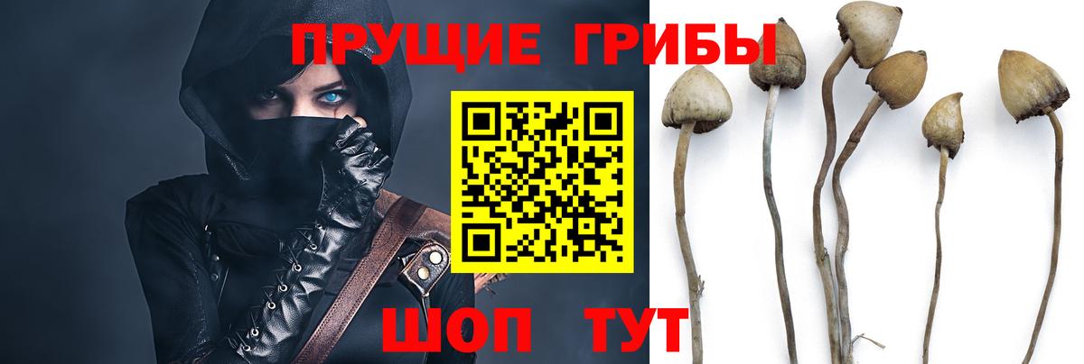 Ялта  Псилоцибиновые грибы Psilocybe  Вход с VPN 